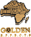Golden Effects Pictures studio logo