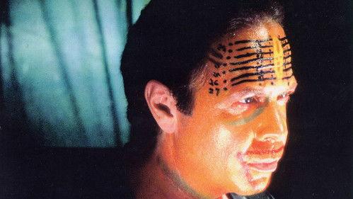 The Age of Insects filmas žiurėti online