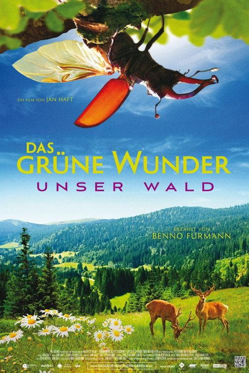 Das grüne Wunder - Unser Wald filmas online