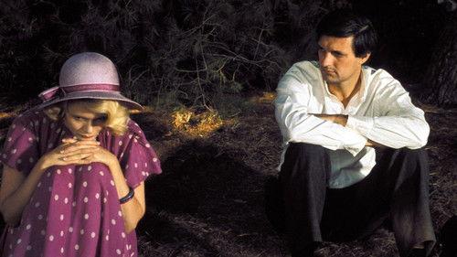 The Moonshine War filmas žiurėti online