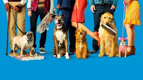 Šuns dienos filmas žiurėti online