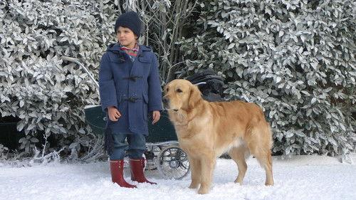 After Thomas filmas žiurėti online