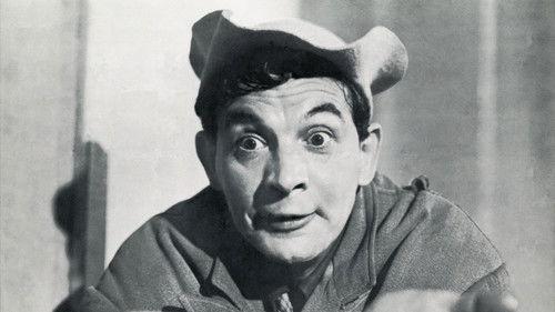 The Window Gossip filmas žiurėti online