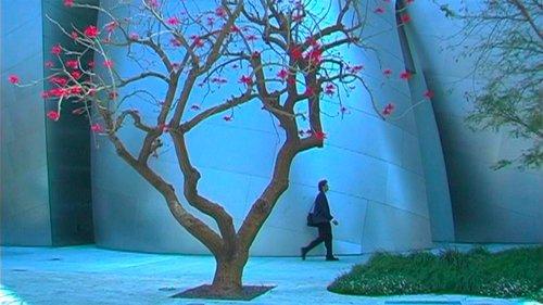 Time and Tide filmas žiurėti online