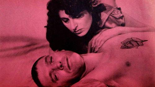 The Rose Tattoo filmas žiurėti online