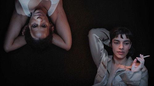 Hotel Coppelia filmas žiurėti online