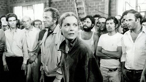 La Califfa filmas žiurėti online