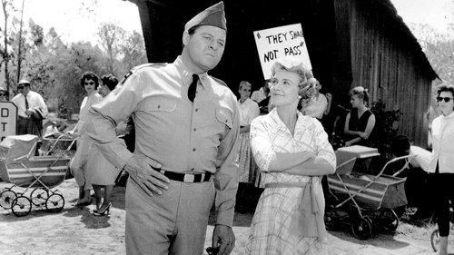 Rally 'Round the Flag, Boys! filmas žiurėti online