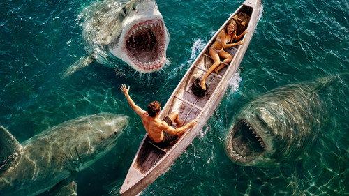 Shark Frenzy filmas žiurėti online