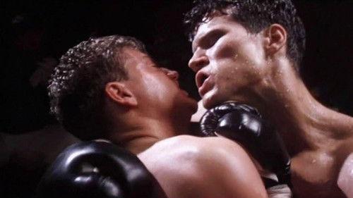 Cock & Bull Story filmas žiurėti online