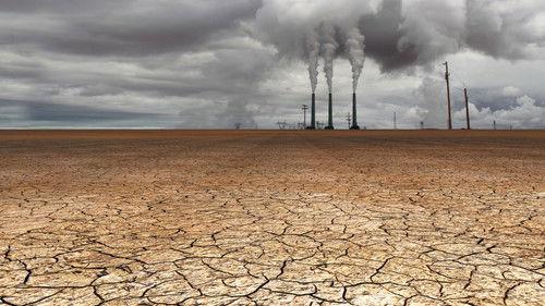 Paris to Pittsburgh filmas žiurėti online