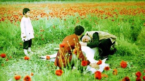 The Wishing Tree filmas žiurėti online