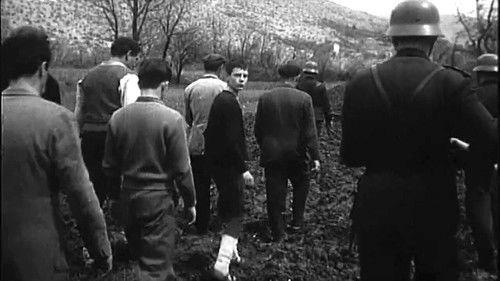 Vortex filmas žiurėti online