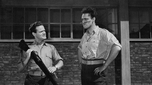 I kongens klæ'r filmas žiurėti online