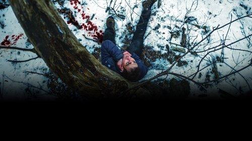 Wolves filmas žiurėti online