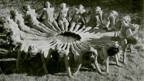 Blåjackor filmas žiurėti online