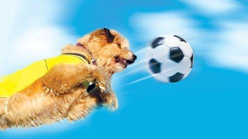 Soccer Dog 2: European Cup filmas žiurėti online