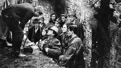 The Last Chance filmas žiurėti online