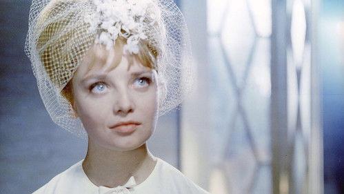 Королевская регата filmas žiurėti online