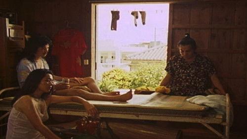 Paradise View filmas žiurėti online