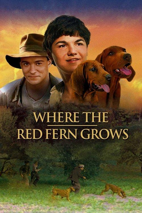 Where the Red Fern Grows filmas online