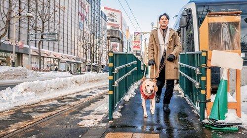 Little Q filmas žiurėti online