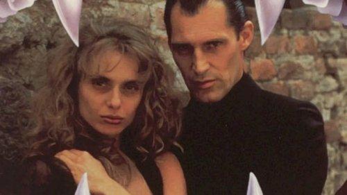 Nightlife filmas žiurėti online