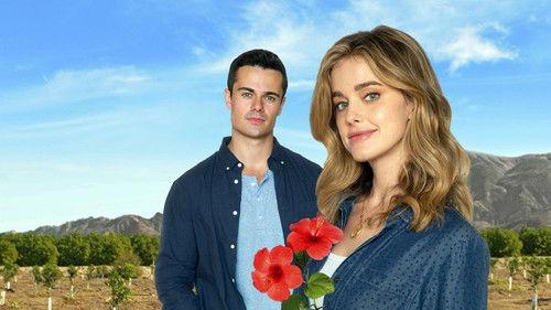 Flowers & Honey filmas žiurėti online