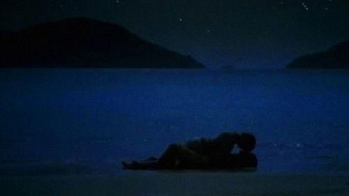 The Dolphin filmas žiurėti online