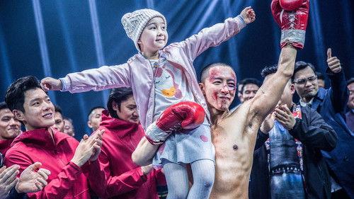 Knock Out filmas žiurėti online