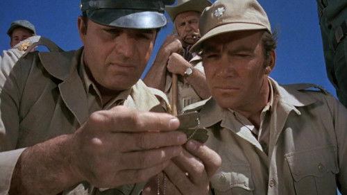 Sole Survivor filmas žiurėti online