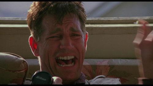 Love Is a Gun filmas žiurėti online