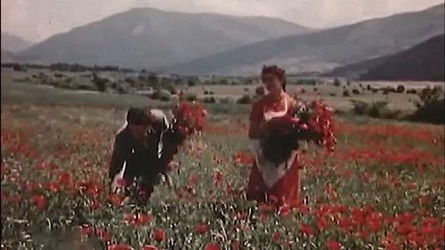 Chrichina filmas žiurėti online