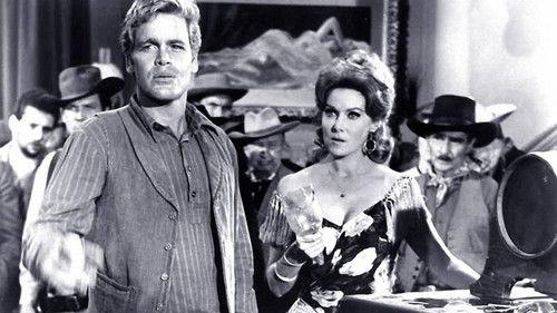 Backtrack! filmas žiurėti online