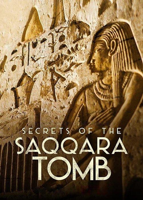 Secrets of the Saqqara Tomb filmas online