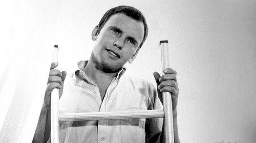 Seventeenth Heaven filmas žiurėti online