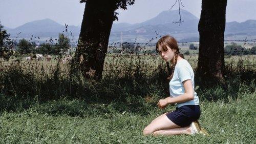 Le Petit Bougnat filmas žiurėti online