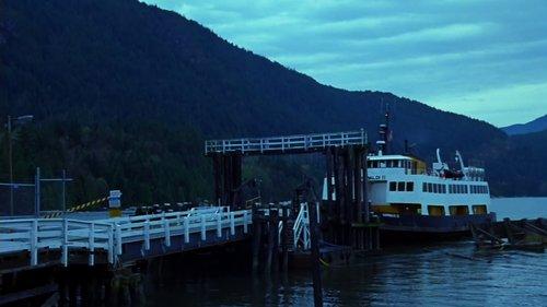 They Nest filmas žiurėti online