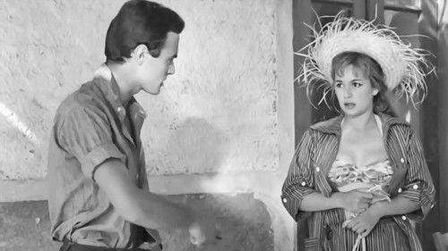 Holidays in Aegina filmas žiurėti online