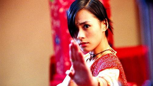 House of Fury filmas žiurėti online