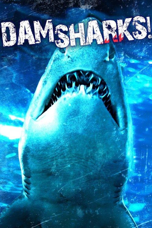 Dam Sharks! filmas online