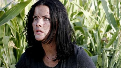 Hallowed Ground filmas žiurėti online