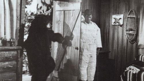 Wild, Wild Winter filmas žiurėti online