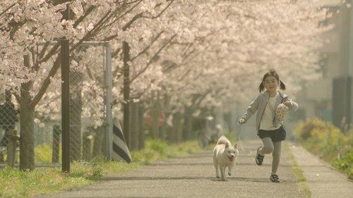 Show Me the Way to the Station filmas žiurėti online