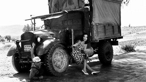 Runaway Bride filmas žiurėti online