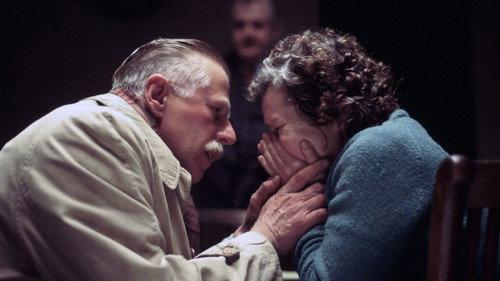 Vera Drake filmas žiurėti online