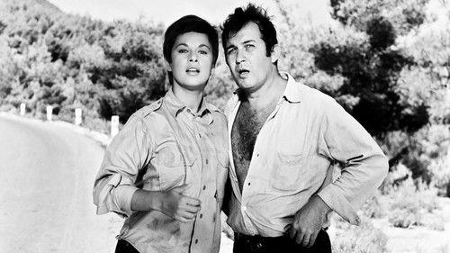 The Lady and the Tramp filmas žiurėti online