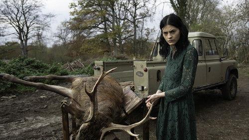 Skin Walker filmas žiurėti online