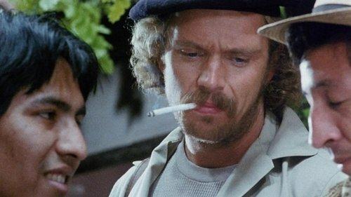 Cocaine Wars filmas žiurėti online