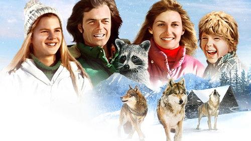 Adventures of the Wilderness Family 2 filmas žiurėti online